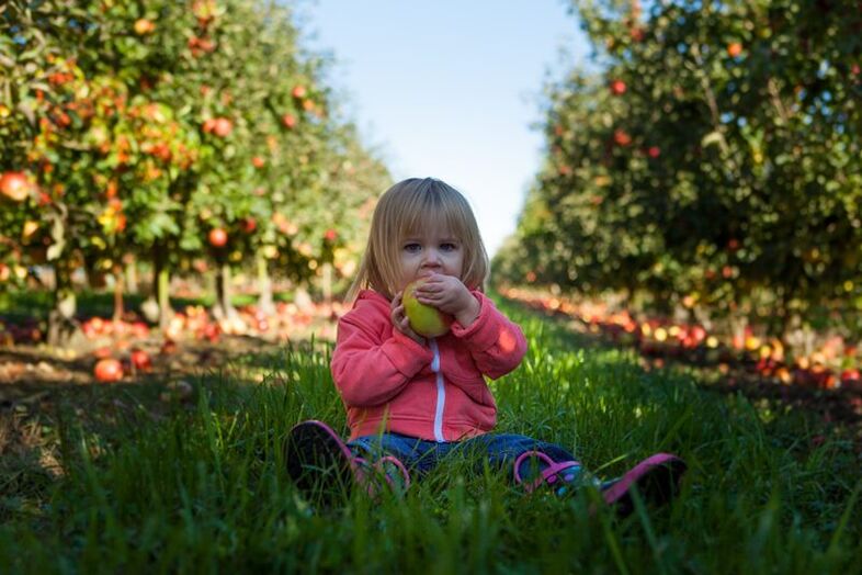 Children with diagnosis of diabetes Melitus can use ugly fruit